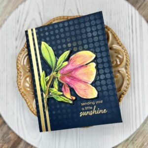 Color it! - Colored Pencils